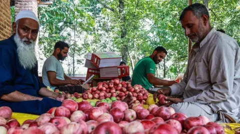 Científicos indios buscan desarrollar la variedad ideal de manzana | PGN Business Insider | pottersgallerynigeria.org