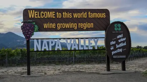 Burgundy Wine Struggle with Impact of Trump Administration's Tariffs | PGN Business Insider | pottersgallerynigeria.org
