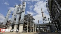 US Agreement Could Impact Viability of UK Biofuel Plant | UK Bioethanol | PGN Business Insider | pottersgallerynigeria.org