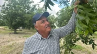 US-Mexico Dispute Intensifies Over Water Shortage | PGN Business Insider | pottersgallerynigeria.org