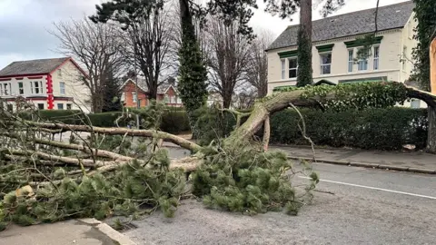 Guidelines for Ensuring Safety During Storms and Power Outages | PGN Business Insider | pottersgallerynigeria.org