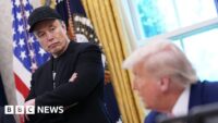 Elon Musk Expresses Regret Over Past Trump-Related Posts | PGN Business Insider | pottersgallerynigeria.org