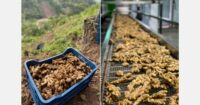 Bio gingembre importés de Chine affiche à Chang Jiang Supermarché touchés par les nouveaux tarifs de l'U. S le commerce avec la Chine guerre | PGN Business Insider | pottersgallerynigeria.org