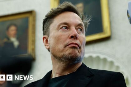 Elon Musk Departs White House, Affirms Commitment to Dogecoin | PGN Business Insider | pottersgallerynigeria.org
