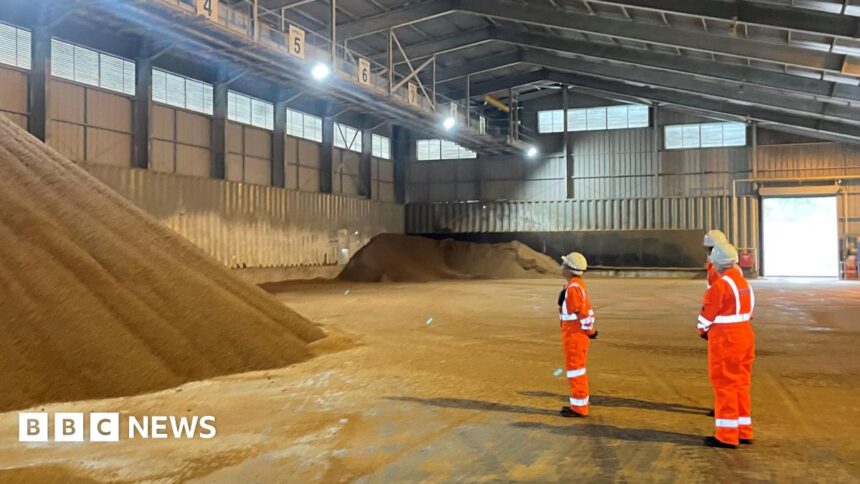 Vivergo Bioethanol Plant to Close, With 160 Jobs Lost Amid Government Funding Refusal | PGN Business Insider | pottersgallerynigeria.org