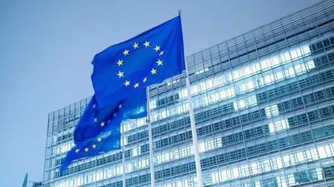 Should Europe Reduce Its Dependence on U.S. Technology?