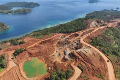 Push for EV Battery Metals Poses Risks to Marine Ecosystems | PGN Business Insider | pottersgallerynigeria.org