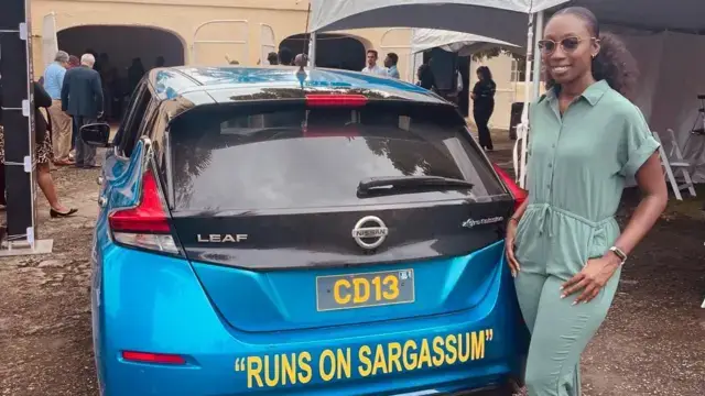 Sargassum Biofuel: Biologist Shanika Spencer was delighted when a test using sargassum to fuel a car was successful