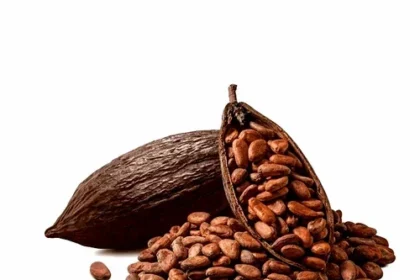 Indian Cocoa Beans Drive Boost in Chocolate Maker Demand.