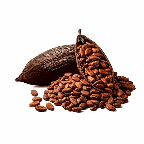 Indian Cocoa Beans Drive Boost in Chocolate Maker Demand.