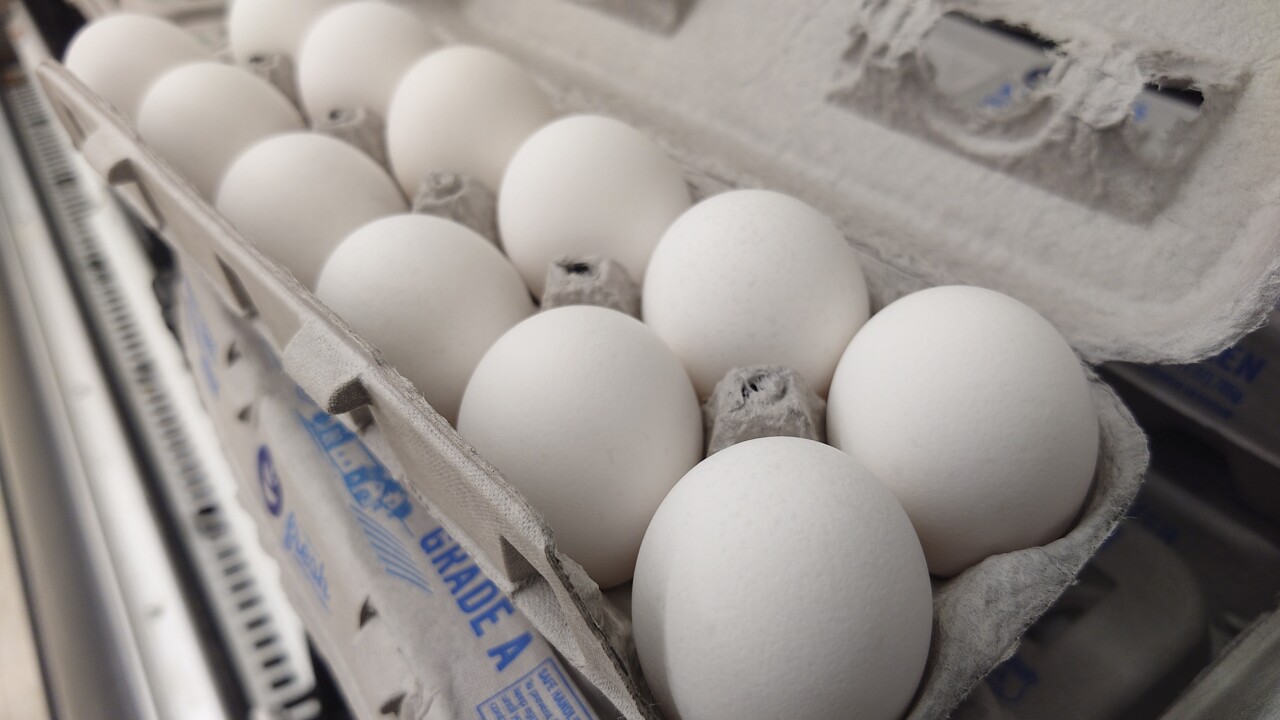 Bird Flu Pushes US Egg Prices Up 53% in One Year, Bird flu plan