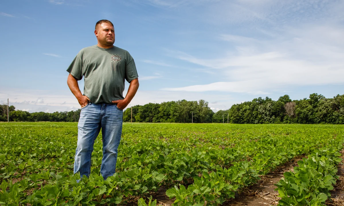 Farmers in Iowa load soybeans onto trucks, their cargo now subject to new 15% Chinese tariffs that could significantly impact their livelihoods. | US economy