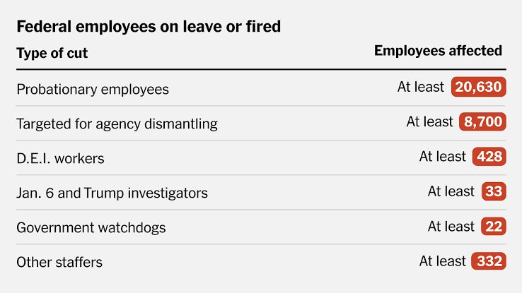 Chart showing probationary federal workers affected by Trump’s workforce cuts. (Source: OPM)