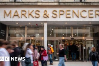 Tata Consultancy Services investigates a potential link to M&S Cyber Attack,| PGN Business Insider | pottersgallerynigeria.org