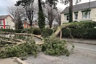 Guidelines for Ensuring Safety During Storms and Power Outages | PGN Business Insider | pottersgallerynigeria.org