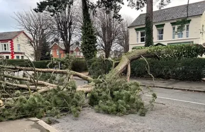 Lignes directrices pour Assurer la Sécurité Pendant les Tempêtes et les Coupures de courant | PGN Business Insider | pottersgallerynigeria.org