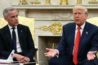 Pound Reaches Near Four-Year High Amid Trump Impact on Dollar | PGN Business Insider | pottersgallerynigeria.org