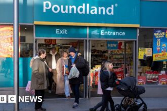 Poundland Acquired for £1 Amid Financial Challenges | PGN Business Insider | pottersgallerynigeria.org