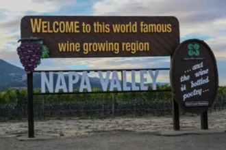 Burgundy Wine Struggle with Impact of Trump Administration's Tariffs | PGN Business Insider | pottersgallerynigeria.org