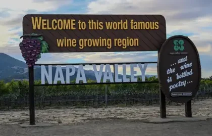 Les vins de Bourgogne sont confrontés à l'impact des tarifs douaniers de l'administration Trump | PGN Business Insider | pottersgallerynigeria.org