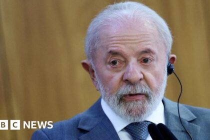 Brazil Pledges Reciprocal Tariffs Following U.S. 50% Levy Threat | PGN Business Insider | pottersgallerynigeria.org