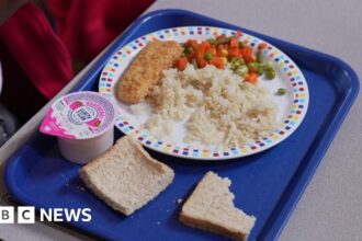 Parents Prepare for Further Increases in School Meal Prices | PGN Business Insider | pottersgallerynigeria.org