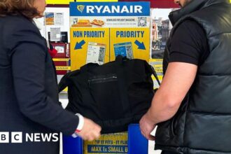 Ryanair Raises Free Cabin Bag Size Allowance | PGN Business Insider | pottersgallerynigeria.org