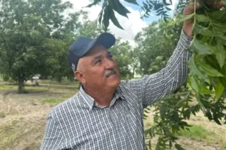 US-Mexico Dispute Intensifies Over Water Shortage | PGN Business Insider | pottersgallerynigeria.org