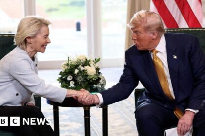 Trump Agrees to Reduce 250% EU Pharmaceutical Tariff in Deal