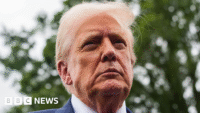 Trump Dismisses Lead Economic Official Amid Market Decline Over Tariffs | PGN Business Insider | pottersgallerynigeria.org