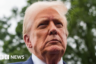 Trump Dismisses Lead Economic Official Amid Market Decline Over Tariffs | PGN Business Insider | pottersgallerynigeria.org