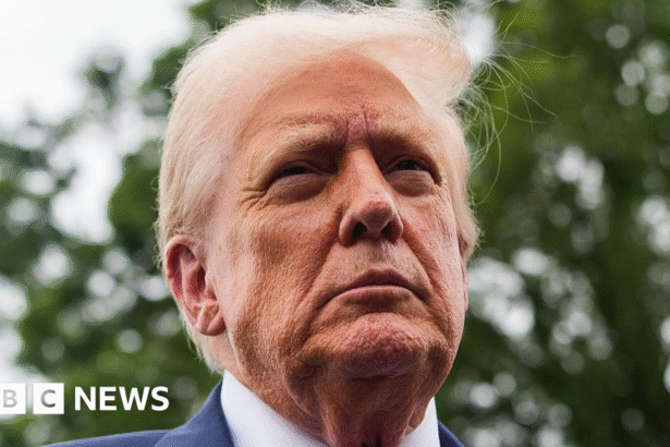 Trump Dismisses Lead Economic Official Amid Market Decline Over Tariffs | PGN Business Insider | pottersgallerynigeria.org